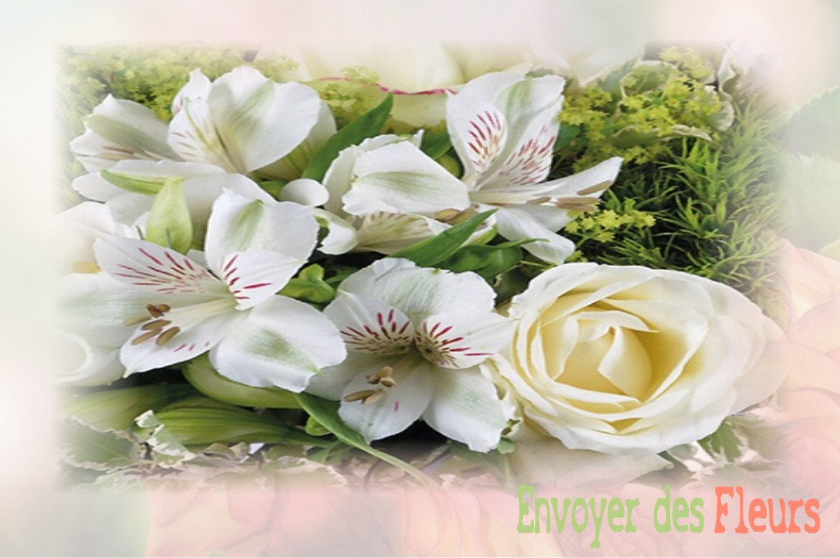 envoyer des fleurs à à VILLERS-AU-TERTRE